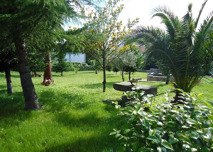 Quinta Da Amoreira